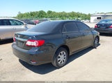 Toyota Corolla Le 2T1BU4EE2BC537616 photo