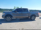 Ford F-150 Fx4/Harley-Davidson/King Ranch/Lariat/Platinum/Xl/Xlt 1FTFW1EV8AFD90380 fotografie