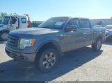 Ford F-150 Fx4/Harley-Davidson/King Ranch/Lariat/Platinum/Xl/Xlt 1FTFW1EV8AFD90380 photo