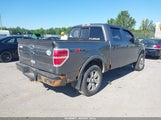Ford F-150 Fx4/Harley-Davidson/King Ranch/Lariat/Platinum/Xl/Xlt 1FTFW1EV8AFD90380 fotografie