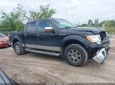 Ford F-150 Fx4/Harley-Davidson/King Ranch/Lariat/Platinum/Xl/Xlt 1FTFW1EV0AFB42589 снимка