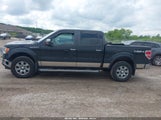 Ford F-150 Fx4/Harley-Davidson/King Ranch/Lariat/Platinum/Xl/Xlt 1FTFW1EV0AFB42589 fotografie