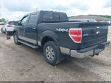 Ford F-150 Fx4/Harley-Davidson/King Ranch/Lariat/Platinum/Xl/Xlt 1FTFW1EV0AFB42589 fotografie