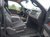 Ford F-150 Fx4/Harley-Davidson/King Ranch/Lariat/Platinum/Xl/Xlt 1FTFW1EV0AFB42589 fotografie