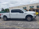 Ford F-150 Xlt 1FTFW1E54LKD61646 снимка