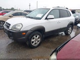 Hyundai Tucson Gls/Lx KM8JN12DX5U071147 photo