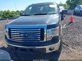 Ford F-150 Xlt 1FTFX1EF9CFA32875 снимка