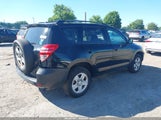 Toyota Rav4 2T3BF4DV6BW120176 photo