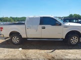 Ford F-150 Xlt 1FTFW1CT5BFB57432 photo
