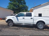 Ford F-150 Xlt 1FTFW1CT5BFB57432 photo