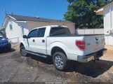 Ford F-150 Xlt 1FTFW1CT5BFB57432 photo