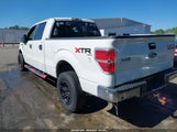 Ford F-150 Xlt 1FTFW1ET0DFD18866 fotografie