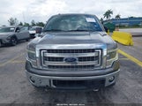 Ford F-150 Xlt 1FTFW1ET1EFA40271 снимка