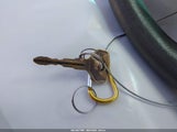 Hyundai Sonata Gls 5NPET46C98H344317 снимка