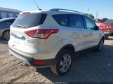 Ford Escape Titanium 1FMCU0JXXEUB43384 photo