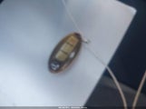 Miniaturka zdjęcia 11