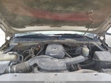 Chevrolet Avalanche 3GNEK13T12G141919 снимка