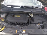 Ford Escape Se 1FMCU9GX8EUA84377 снимка