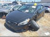 Hyundai Sonata Sport 5NPE34AF4GH336710 fotografie