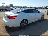 Nissan Maxima 3.5 Sl 1N4AA6AP2HC383424 снимка