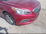 Hyundai Sonata Se 5NPE24AF4GH351534 снимка