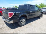 Ford F-150 Xlt 1FTFW1ET9BFA98964 снимка