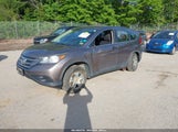 Honda Cr-V Lx 5J6RM4H34CL079347 photo