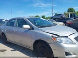 Toyota Corolla Le 2T1BU4EE2AC228226 снимка