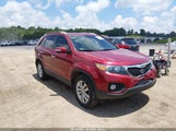 Kia Sorento Ex 5XYKU3A1XBG087862 fotografie