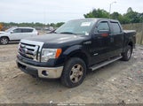 Ford F-150 Xlt 1FTFW1ET0BFD06116 снимка