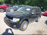 Ford Escape Xlt 1FMCU9DG5CKB52535 снимка