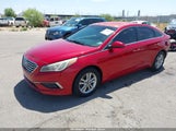 Hyundai Sonata 5NPE24AFXHH534793 photo