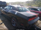 Dodge Challenger Rallye Redline 2C3CDYAG0DH653235 fotografie