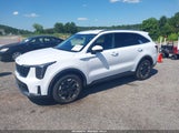 Kia Sorento S 5XYRL4JC0RG269007 photo