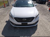Hyundai Sonata Sport 5NPE34AF4FH176424 fotografie