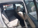 Honda Pilot Ex-L 5FNYF4H57FB019423 fotografie