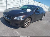 Nissan Maxima 3.5 Sv 1N4AA5AP5BC848960 снимка