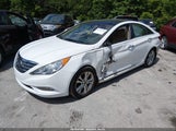 Hyundai Sonata Limited 5NPEC4AC9DH619119 photo