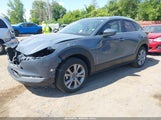Mazda Cx-30 Premium 3MVDMBDM1MM233241 photo