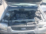 Ford Escape Xlt 1FMYU03111KC23340 снимка