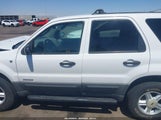 Ford Escape Xlt 1FMYU03111KC23340 снимка