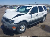 Ford Escape Xlt 1FMYU03111KC23340 снимка