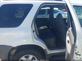 Ford Escape Xlt 1FMYU03111KC23340 снимка