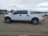 Ford F-150 Xl 1FTFW1EF9EKG24323 снимка