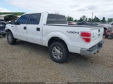 Ford F-150 Xl 1FTFW1EF9EKG24323 снимка