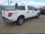 Ford F-150 Xl 1FTFW1EF9EKG24323 снимка