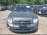 Ford Escape Xlt 1FMCU0D76BKB83142 fotografie
