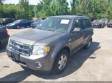 Ford Escape Xlt 1FMCU0D76BKB83142 fotografie