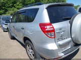 Toyota Rav4 JTMBF4DV6AD036113 photo