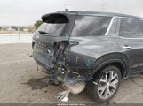 Hyundai Palisade Sel KM8R44HE6LU029479 fotografie